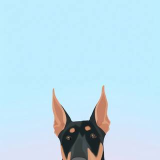 Dobermann wallpaper