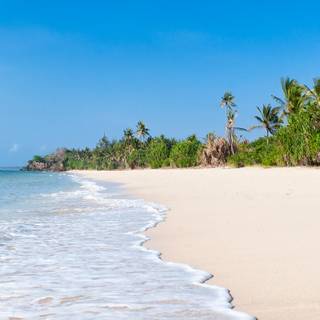 Diani beach wallpaper