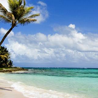 Diani beach wallpaper