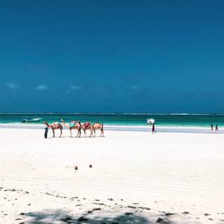 Diani beach wallpaper
