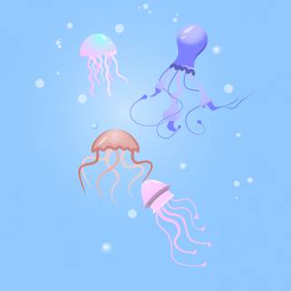 Jellyfish laptop wallpaper