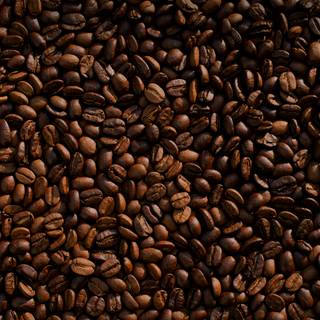 Coffee seed wallpaper