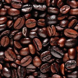 Coffee seed wallpaper