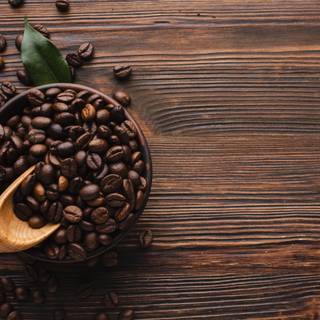 Coffee seed wallpaper