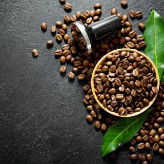 Coffee seed wallpaper