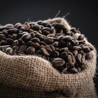 Coffee seed wallpaper