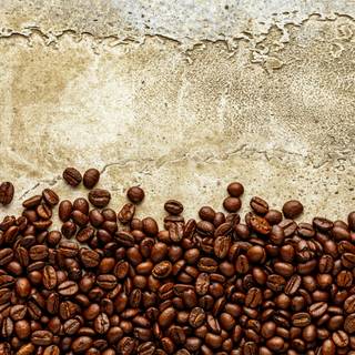 Coffee seed wallpaper