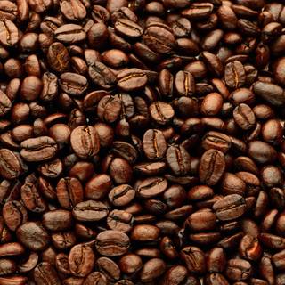 Coffee seed wallpaper