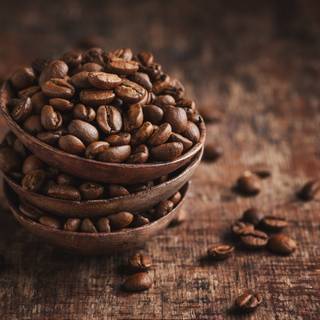 Coffee seed wallpaper