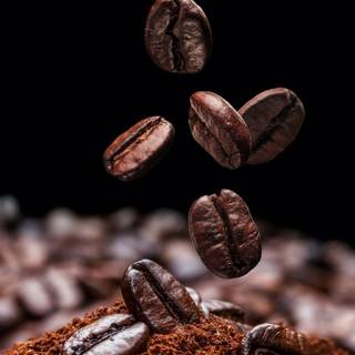 Coffee seed wallpaper