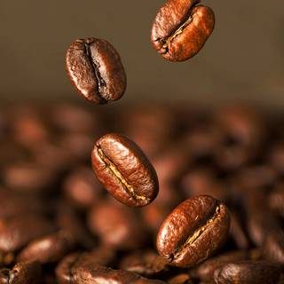 Coffee seed wallpaper