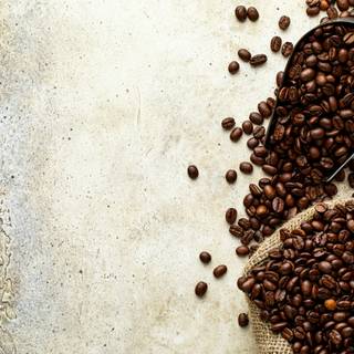 Coffee seed wallpaper