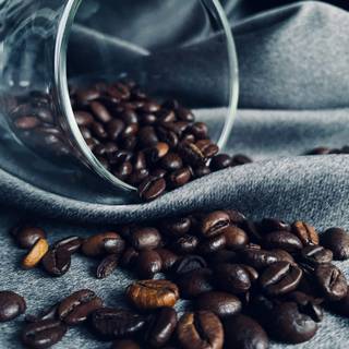 Coffee seed wallpaper