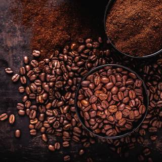 Coffee seed wallpaper