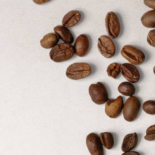 Coffee seed wallpaper
