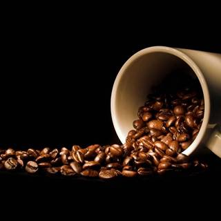 Coffee seed wallpaper