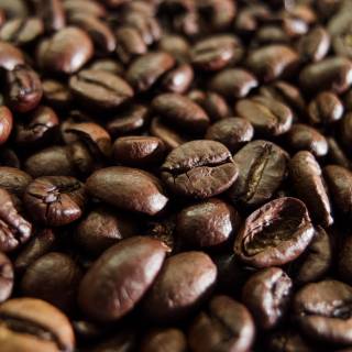 Coffee seed wallpaper