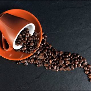 Coffee seed wallpaper