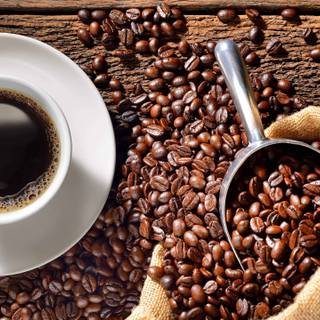 Coffee seed wallpaper