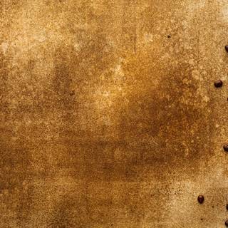 Coffee seed wallpaper