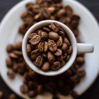 Coffee seed wallpaper