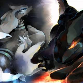 Zekrom and Reshiram wallpaper
