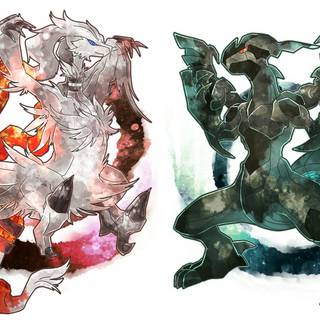 Zekrom and Reshiram wallpaper