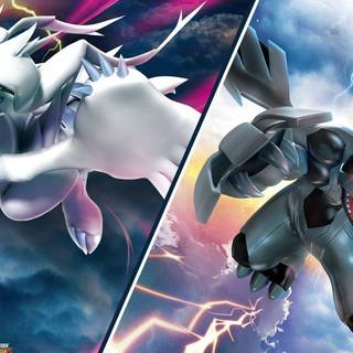 Zekrom and Reshiram wallpaper