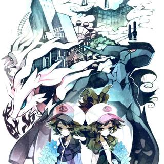 Zekrom and Reshiram wallpaper