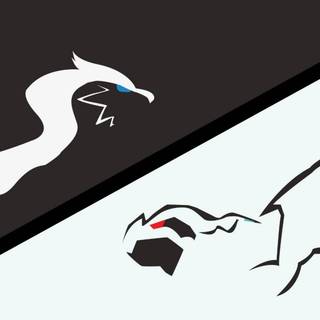 Zekrom and Reshiram wallpaper