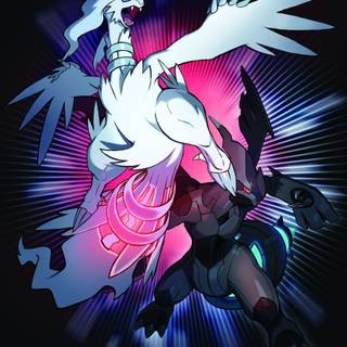 Zekrom and Reshiram wallpaper