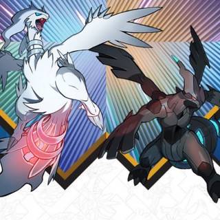 Zekrom and Reshiram wallpaper