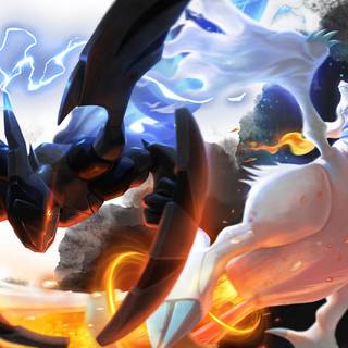 Zekrom and Reshiram wallpaper