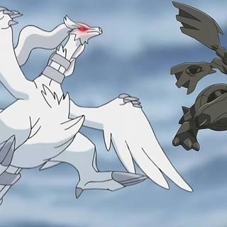 Zekrom and Reshiram wallpaper