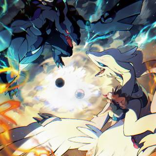 Zekrom and Reshiram wallpaper