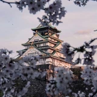 Cool Japan wallpaper