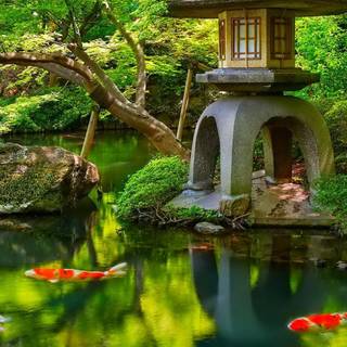 Cool Japan wallpaper