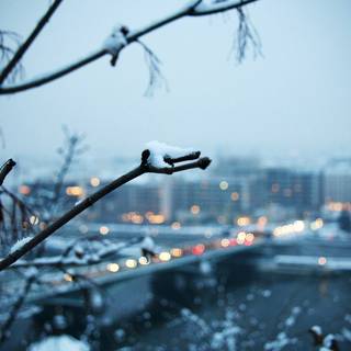 Blurred city wallpaper