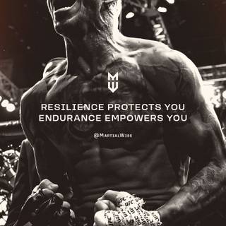 UFC quotes wallpaper