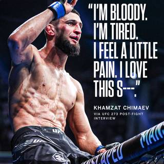 UFC quotes wallpaper