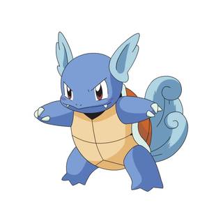 Wartortle wallpaper