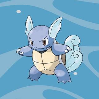 Wartortle wallpaper