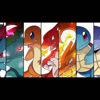 Wartortle wallpaper