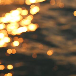 Gold wallpaper