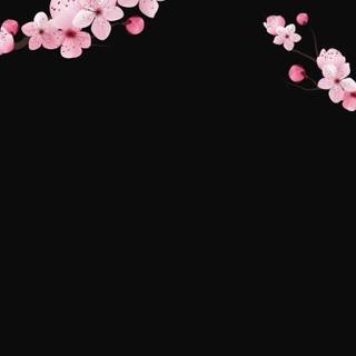 Sakura dark wallpaper