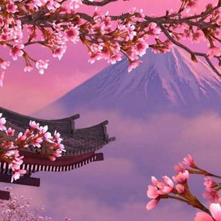 Sakura dark wallpaper