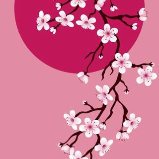 Sakura dark wallpaper