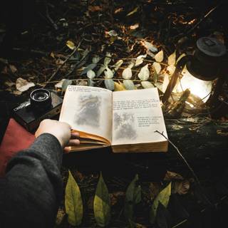 Reading book wallpaper