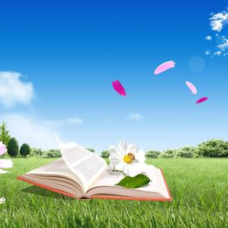 Reading book wallpaper