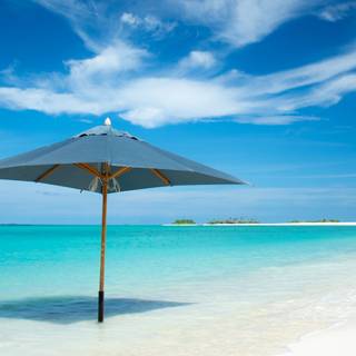 Beach umbrella wallpaper